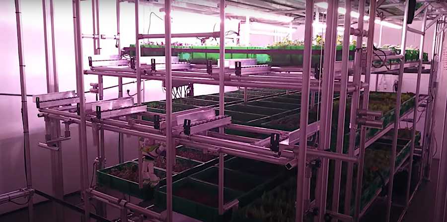 Area2 Farms uses automated technology to grow greens