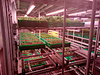 racks with plants in boxes are raised and lowered daily in the towers