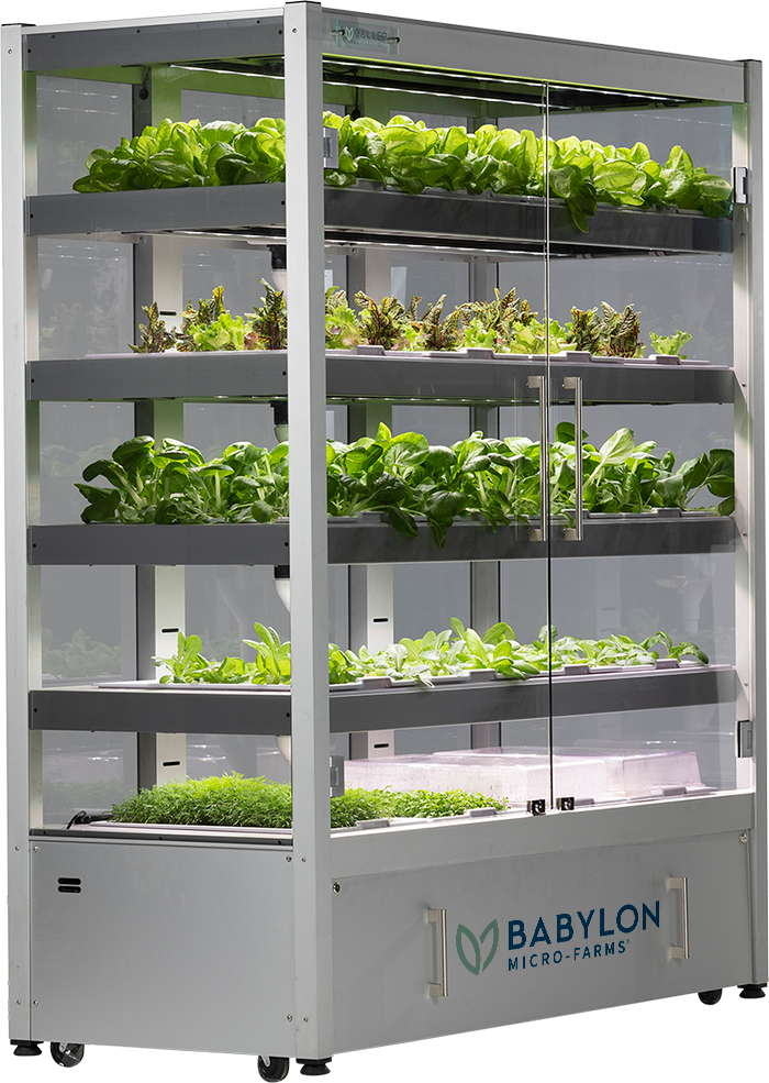 Babylon Micro-Farms, based in Richmond, manages vertical indoor farms remotely