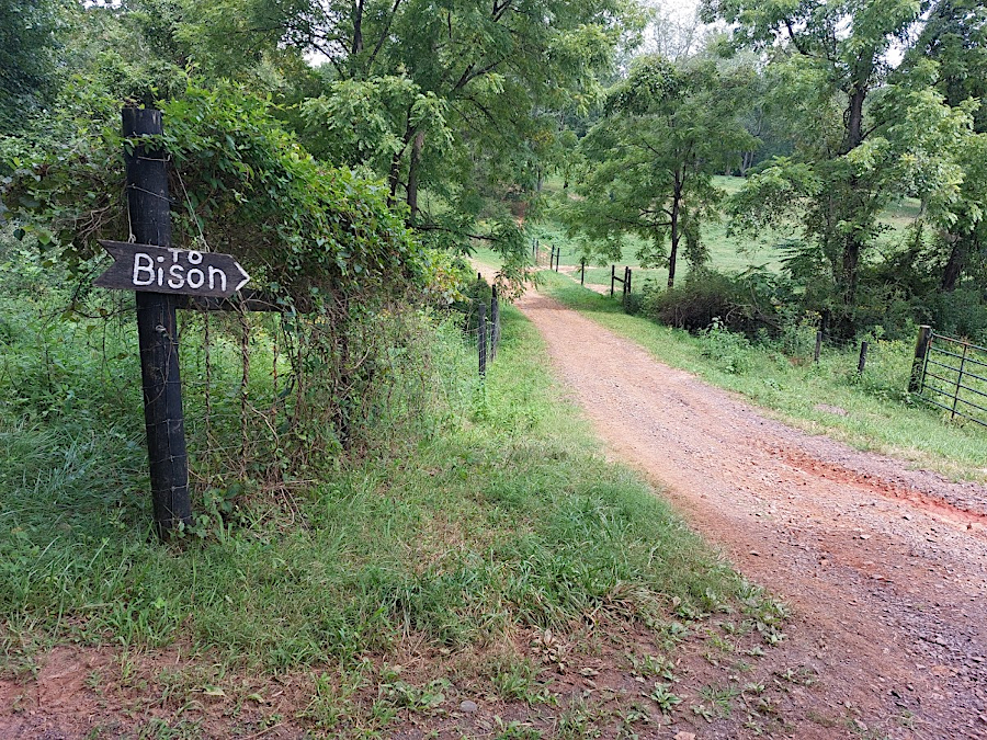 when Cibola Farm moves bison to different pastures, signs are moved as well so visitors can find them