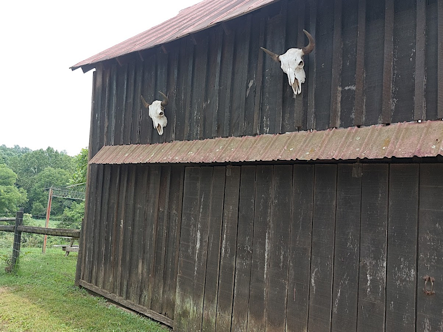 a barn at Cibola Farms displays bison skulls