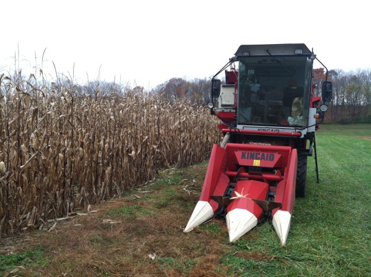 modern corn harvesters come in small as well as large sizes