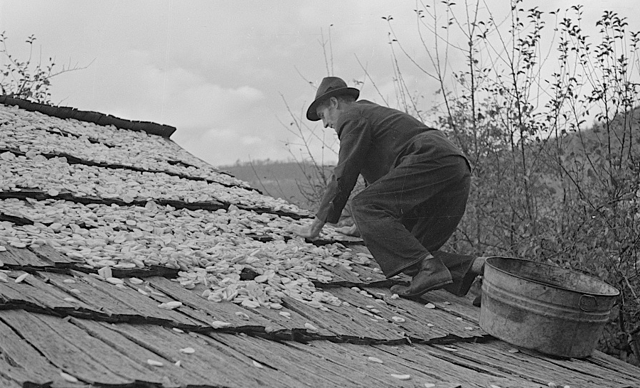 in the 1930's, Blue Ridge residents grew apples on hillsides with thin soil and dried them for storage