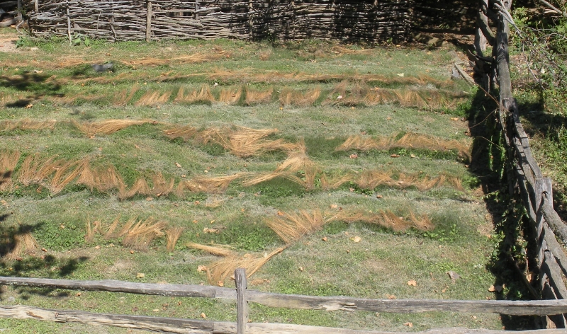 flax retting at Mount Vernon