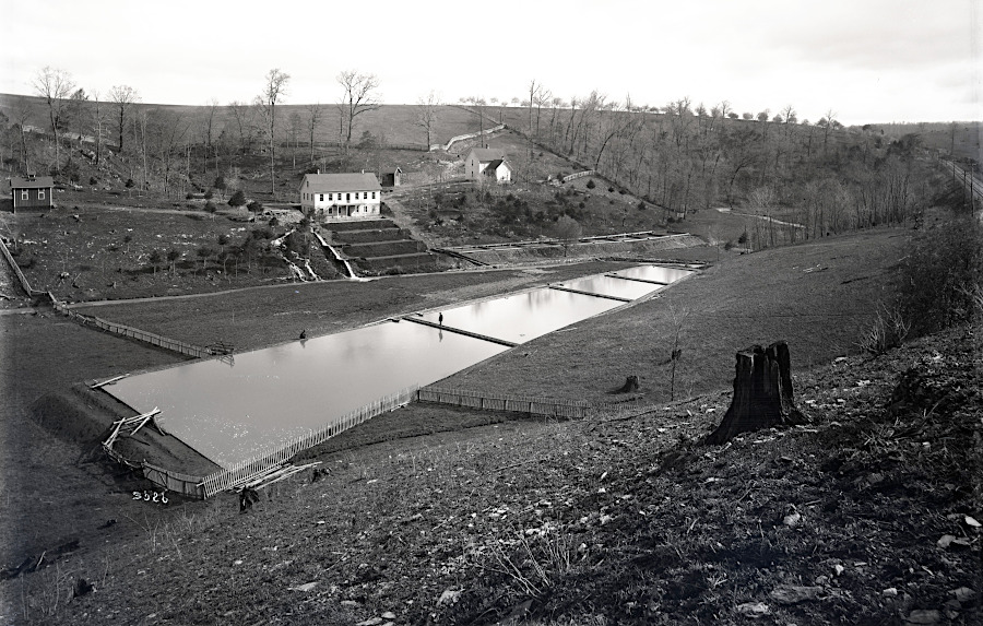 the Virginia Fish Commission built its first hatchery at Wytheville in 1879