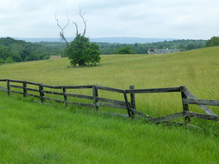 measured by the number of acres used to grow any agricultural species, hay is the #1 crop in Virginia