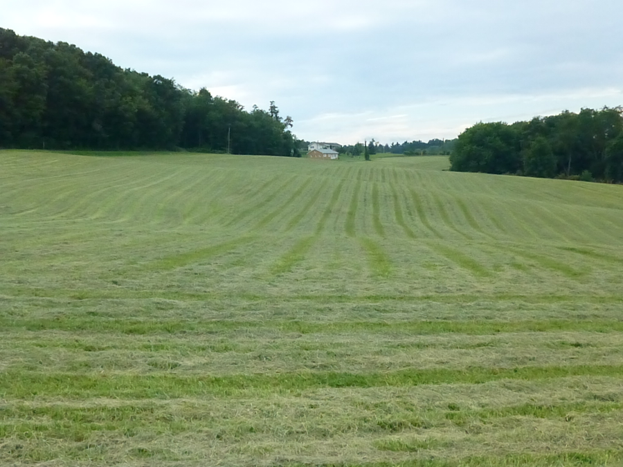 As winter nears, producers ponder Virginia hay supply