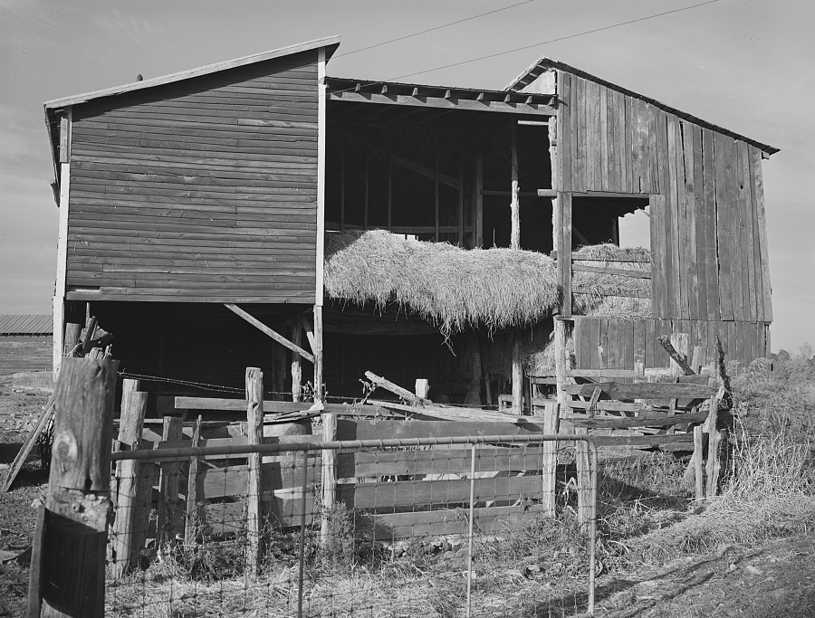 hay has been stored in barns and kept overwinter in the fields in haystacks 