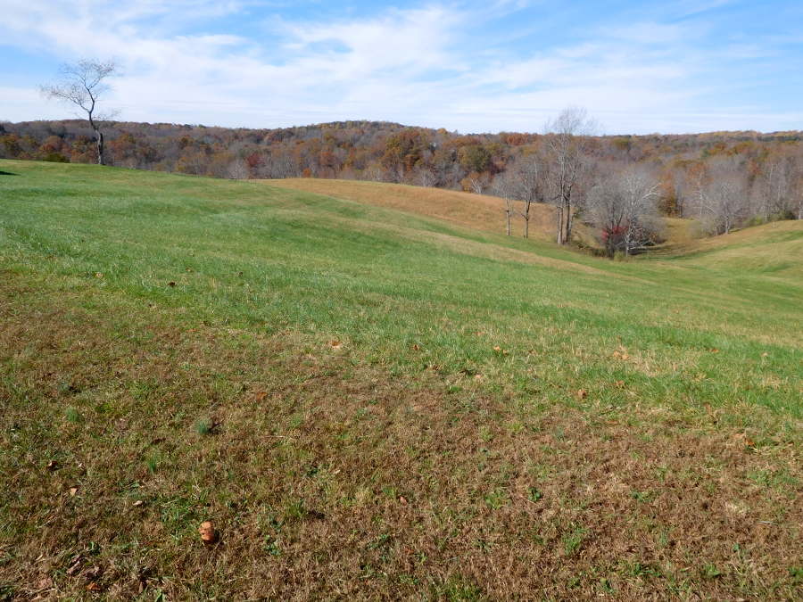 pasture in Fauquier County