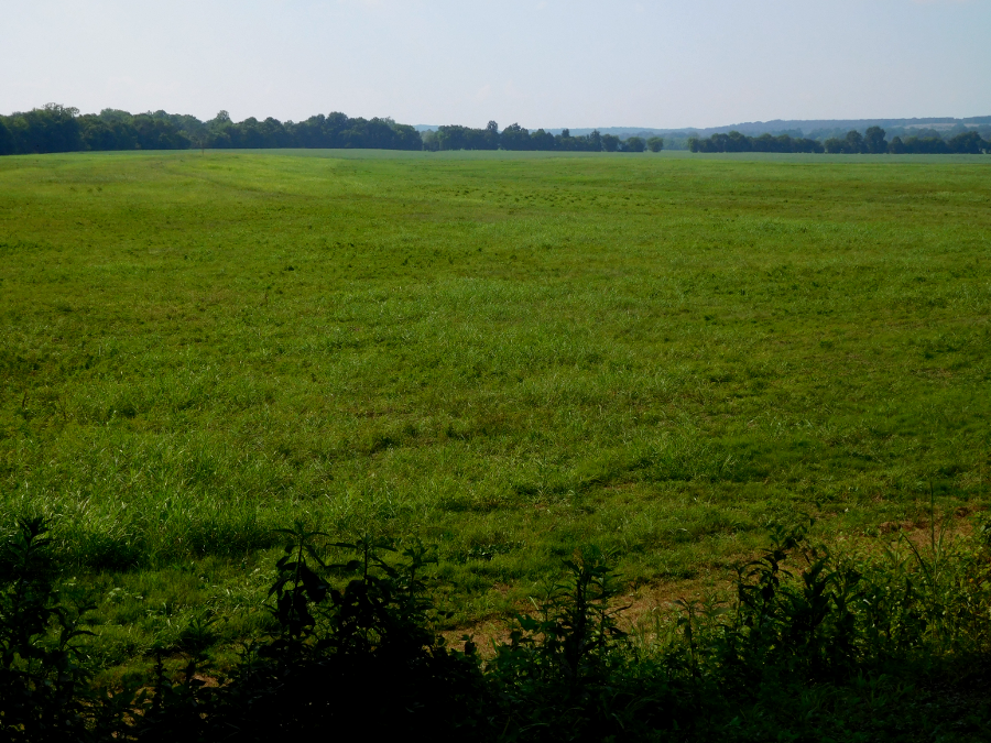 hayfields provide classic vistas and open space in rural Virginia