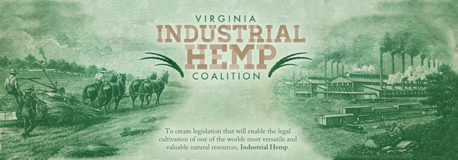 industrial hemp has a concentration of tetrahydrocannabinol (THC) below 0.3 percent, too low for users to get high
