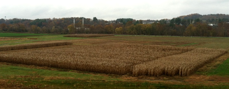 experimental corn plots at Virginia Tech's Kentland Farm (Montgomery County, with Radford Army Ammunition Plant in background across New River)