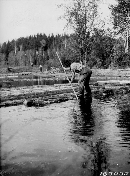 before railroads arrived, logs were floated to market