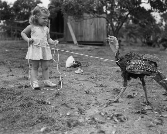 the Rockingham Turkey Festival started in 1939