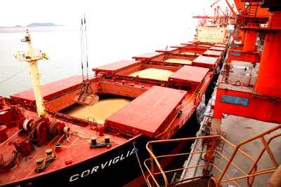 Virginia soybeans arrive in Port of Dandong, China