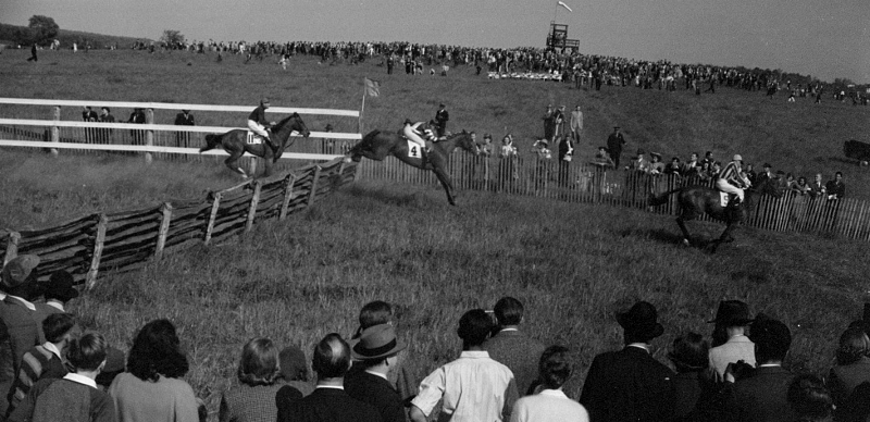 steeplechase races around a course include jumping obstacles, imitating what horses must cross in open-field racing