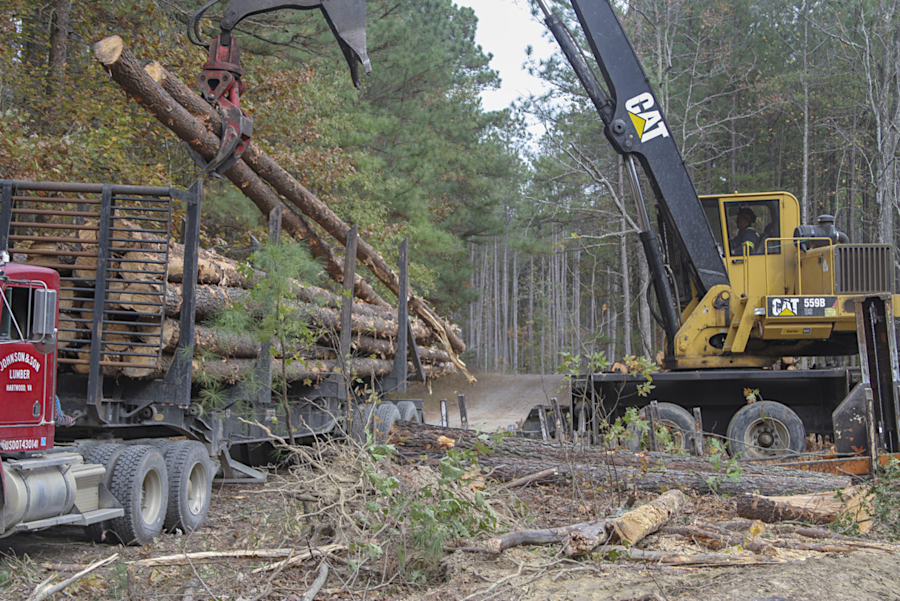 timber sales are used to clear land for training ranges at Fort A. P. Hill