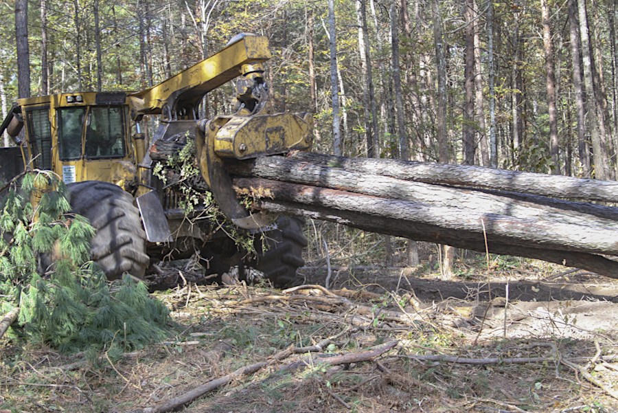 skidders drag logs from the woods to a stockpile (cold deck)