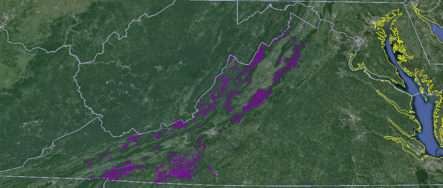 all remaining streams still supporting a wild trout population are in the Blue Ridge or Valley and Ridge physiographic provinces