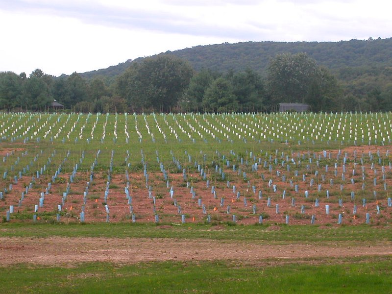 LaGrange Winery in Prince William County (opened 2006)