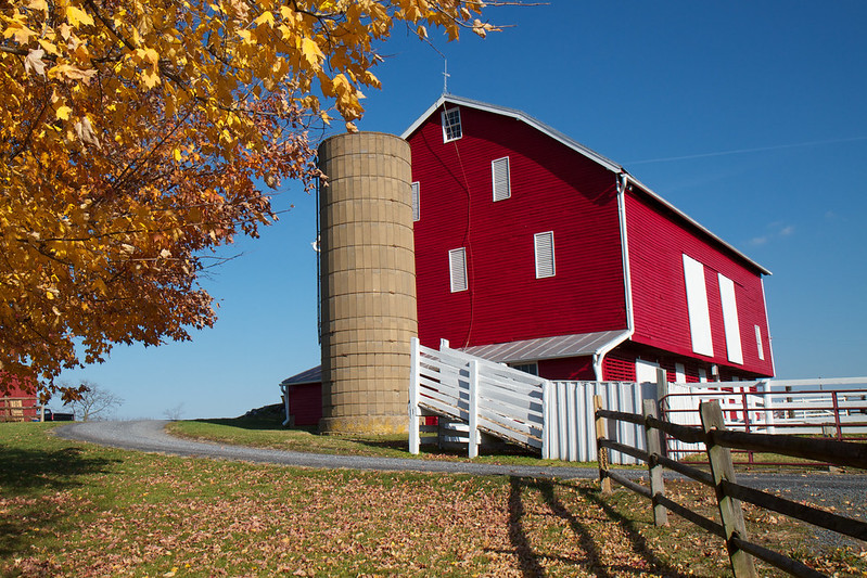 two-story bank barns were built into hillsides, allowing ground level access to both stories
