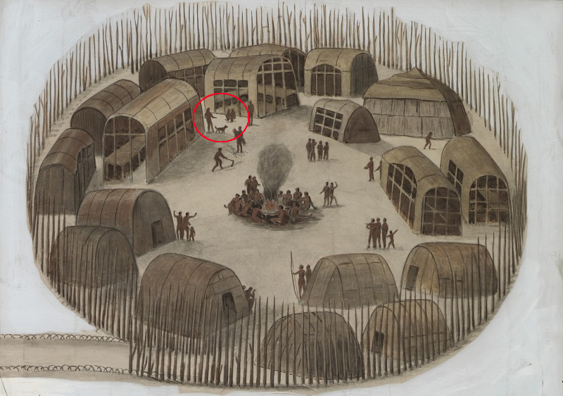 Native Americans had domesticated dogs, as shown in a reproduction of a 1585 watercolor by John White