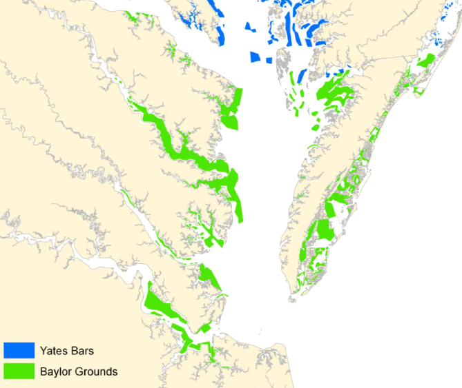 C.C. Yates mapped Maryland's Natural Oyster Bars between 1906-1912, after the Baylor surveys in Virginia documented oyster habitat in 1892-1894