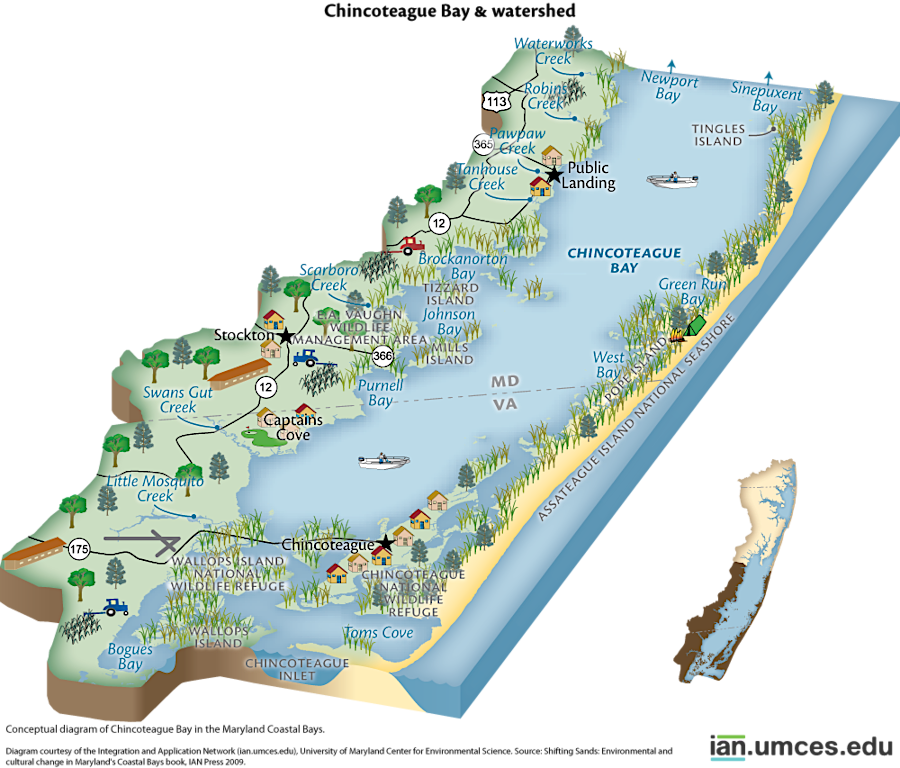 the modern Maryland-Virginia border splits Chincoteague Bay and Assateague Island, but Chincoteague Island is within Virginia