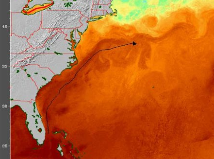 the warm Gulf Stream affects what lives on the ocean bottom and in the water column above the Outer Continental Shelf