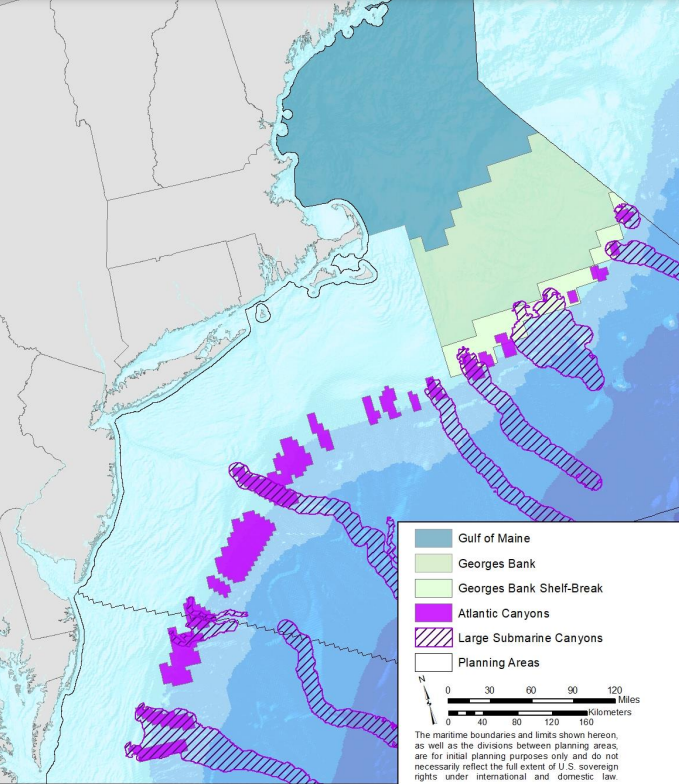 the Biden Administration identified where biodiversity was concentrated in offshore canyons and whales were concentrated in a biodiversity strip at the edge of the Continental Shelf