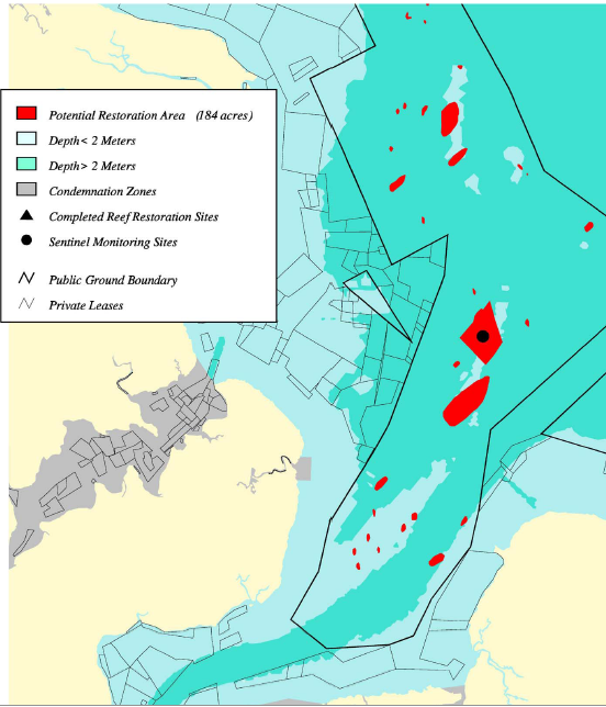 oyster restoration site, confluence of Nansemond and James rivers