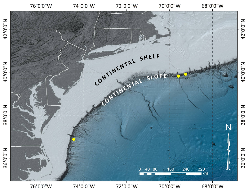 cold methane seeps, emerging at the temperature of the seawater one mile deep, are located off the New Jersey and Virginia coasts