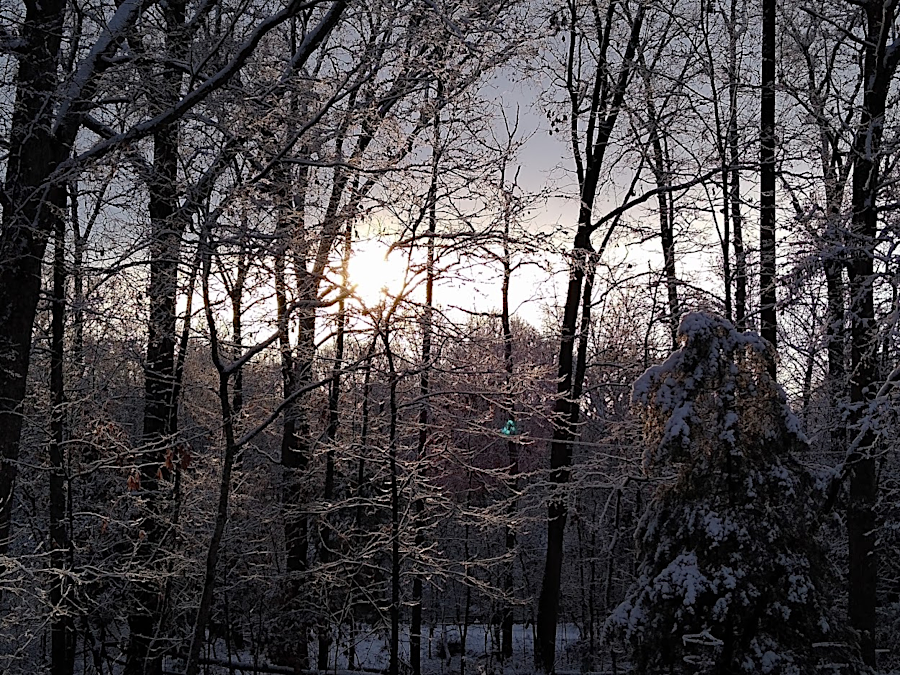 the winter sun rises less above the horizon, since Virginia is in the Northern Hemisphere