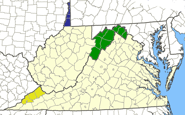 West Virginia's borders could have included a panhandle in the south, as well as at the northeastern and northwestern edges - but in the end, no counties east of the Allegheny Front were added to West Virginia except in the panhandle with the Baltimore and Ohio Railroad