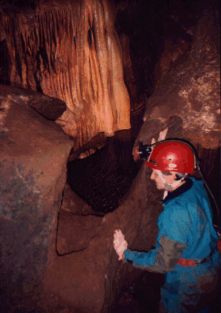 Virginia caves are typically muddy, moist, and cool - and dark