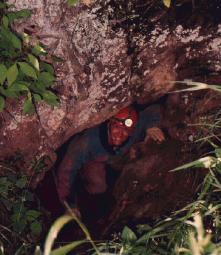 entrance to Links Cave