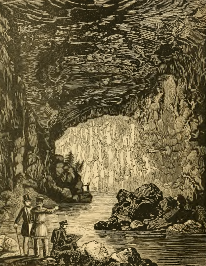 tourists entered Natural Tunnel, a large cave in Scott County, until a railroad built a track through it