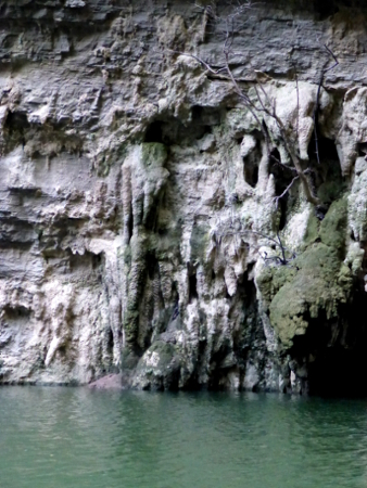 travertine formations clearly exposed on the surface (Yangtze River in China)