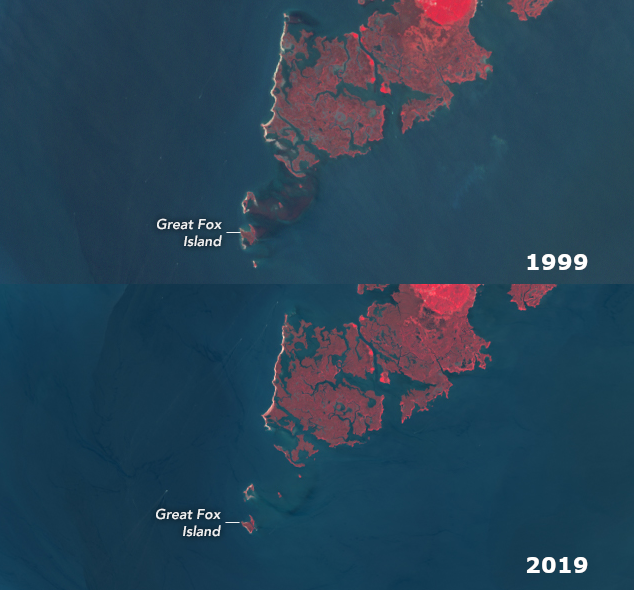 the shrinkage of Great Fox Island over 20 years is clearly visible