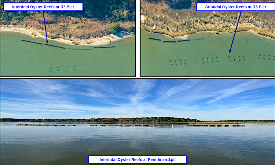 Naval Weapons Station Yorktown built a living shoreline project that included oyster castles to create a new reef