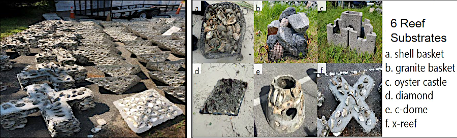 Naval Weapons Station Yorktown built a living shoreline project that included oyster castles to create a new reef