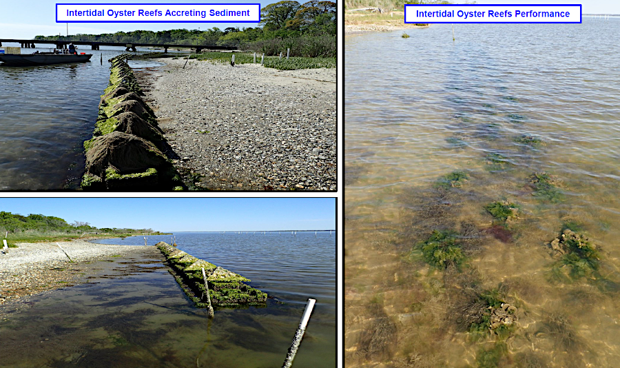 Naval Weapons Station Yorktown built a living shoreline project that included oyster castles to create a new reef