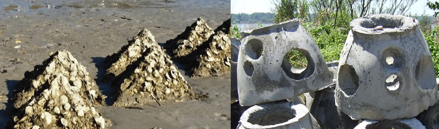 concrete forms are placed below the low-water mark and oysters use the hard substrate to grow into castles
