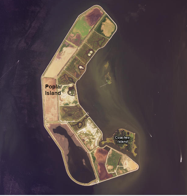 one option for preventing land loss at Tangier Island is to make it a dredge spoil disposal site, like Poplar Island in Maryland