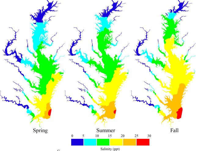 salinity in the Chesapeake Bay varies by season and location, with the freshest water being in the northern portion (within Maryland) during the Spring