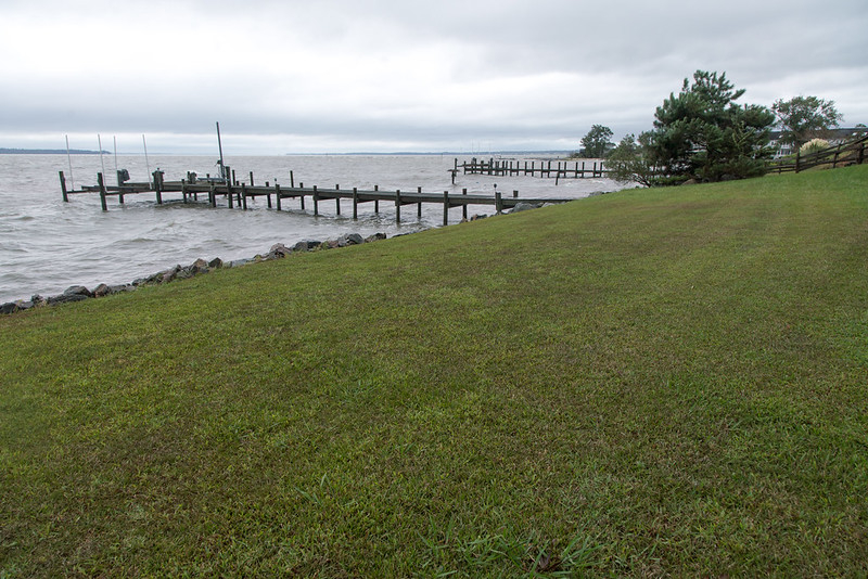 some owners of riverfront property cut grass to the shoreline