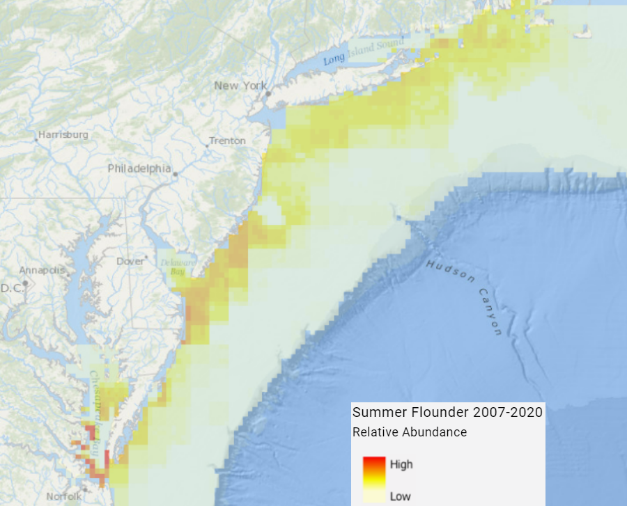 summer flounder populations will move north, as the Chesapeake Bay and Atlantic Ocean get warmer