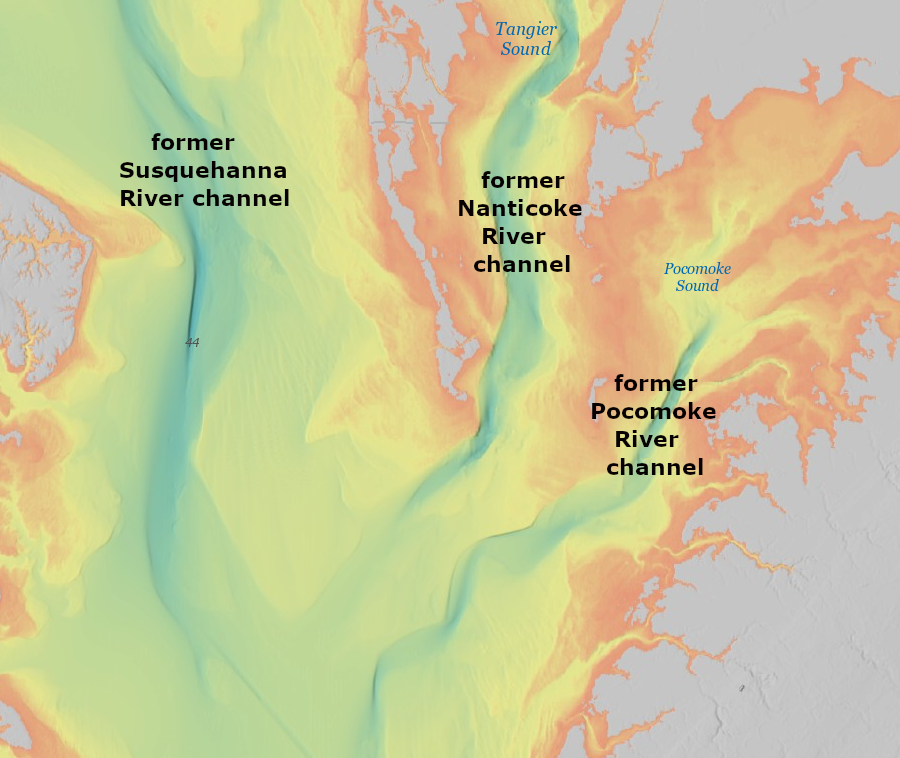channels of the Pocomoke and Nanticoke rivers, former tributaries of the Susquehanna River, appear on bathymetric maps now