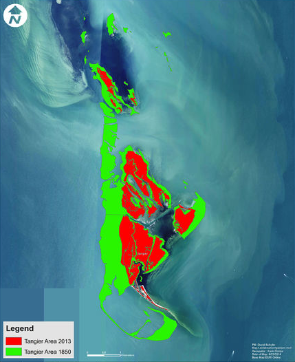 since 1850, 2/3 of the land of the land at Goose, Uppards, Port Isobel and Tangier Island has been submerged or converted into marsh 