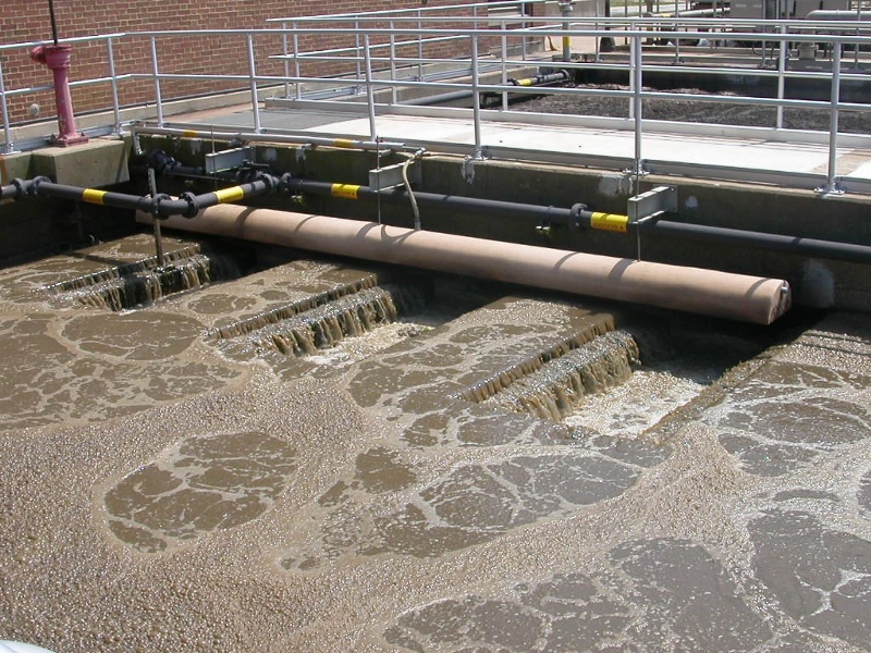 bacteria consuming nitrates at wastewater treatment plant